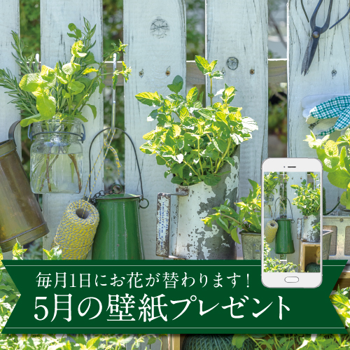 5月の壁紙(カレンダー付き)プレゼント