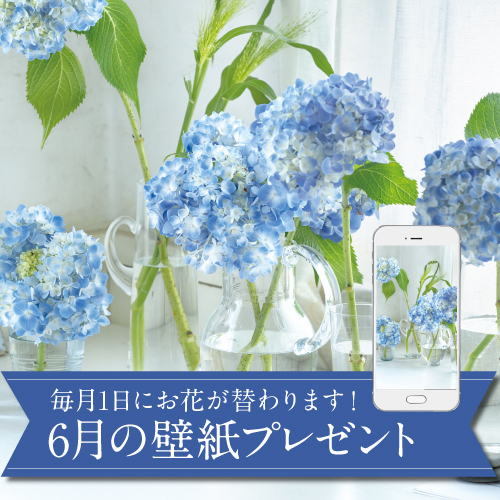 6月の壁紙(カレンダー付き)プレゼント