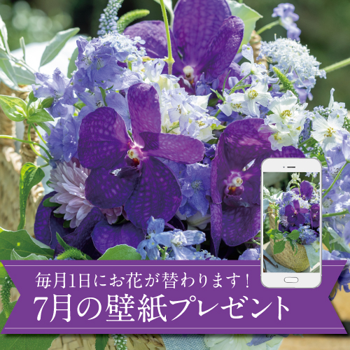 7月の壁紙(カレンダー付き)プレゼント