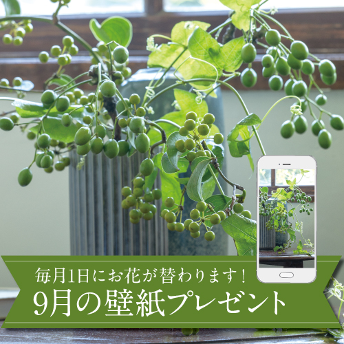 9月の壁紙(カレンダー付き)プレゼント