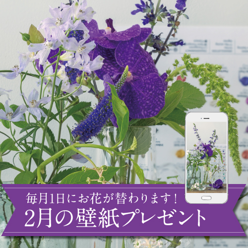 2月の壁紙(カレンダー付き)プレゼント