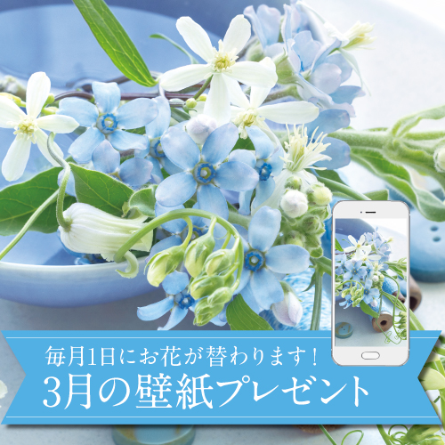 3月の壁紙(カレンダー付き)プレゼント