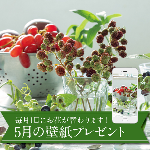 5月の壁紙(カレンダー付き)プレゼント