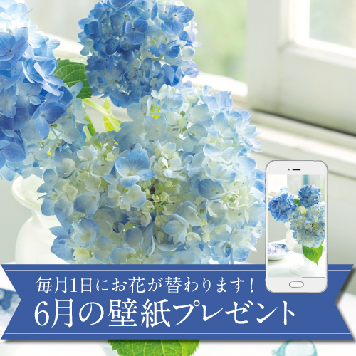 6月の壁紙(カレンダー付き)プレゼント