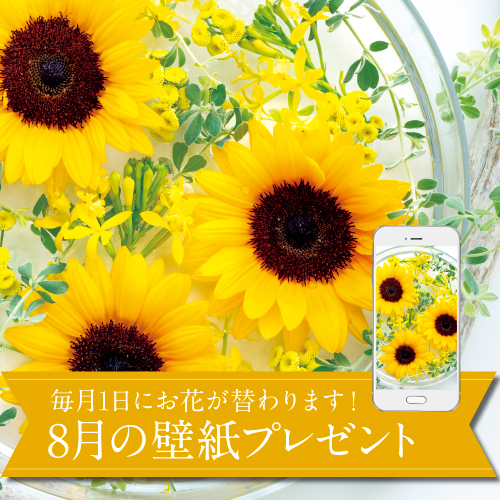 お知らせ・キャンペーン｜ナガセビューティケァ｜総合美を目指す化粧品