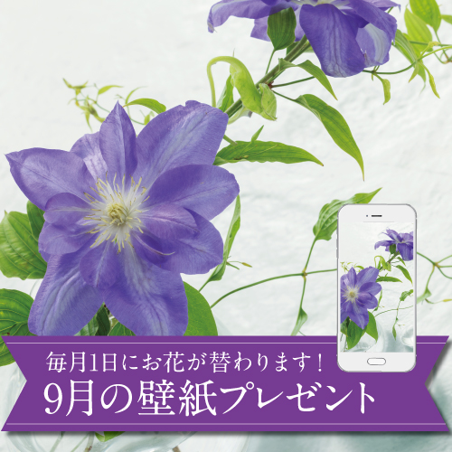 9月の壁紙(カレンダー付き)プレゼント