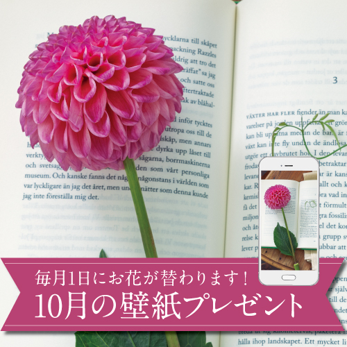 10月の壁紙(カレンダー付き)プレゼント