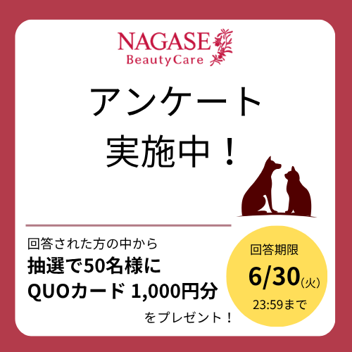 抽選でクオカードが当たる、アンケート実施中!